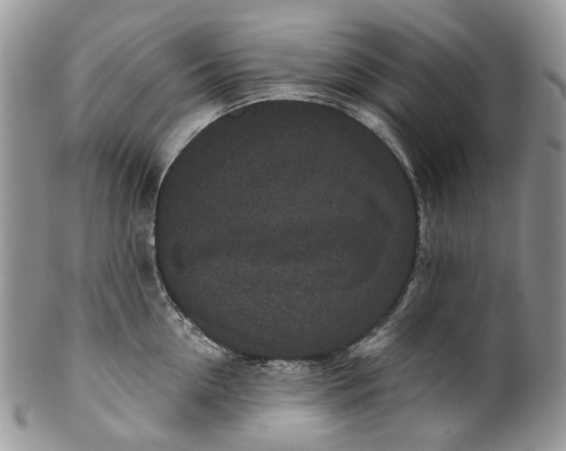 X0000099960954200806131507