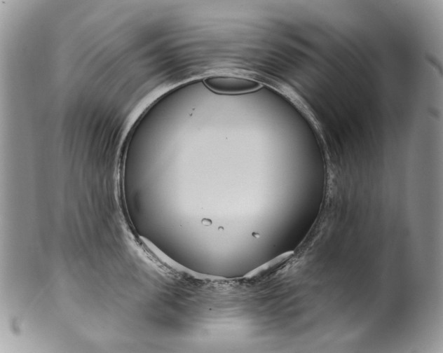 X0000099960955200806131507