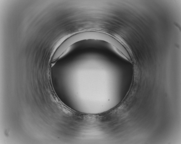 X0000099960956200806131507