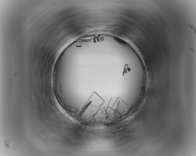 X0000099960957200806131507