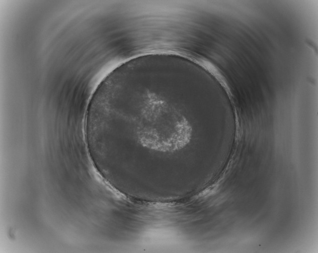 X0000099960958200806131507