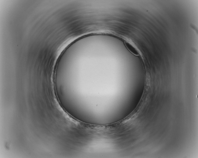 X0000099960959200806131507