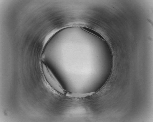 X0000099960960200806131507