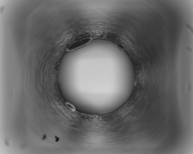 X0000099960961200806131506