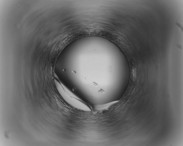 X0000099960963200806131506