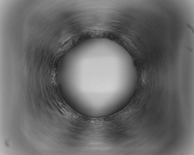 X0000099960964200806131506