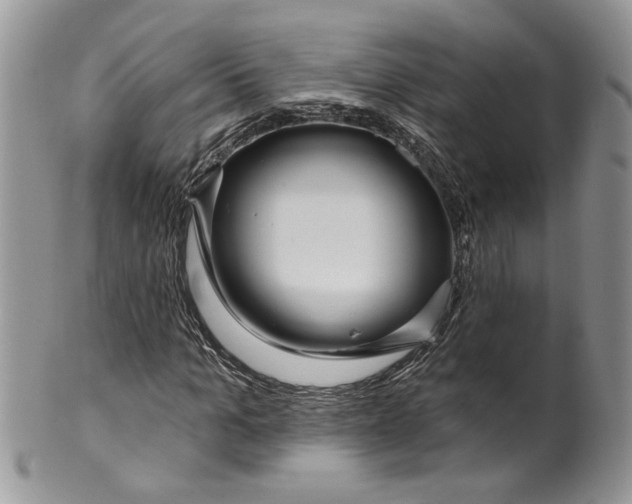 X0000099960965200806131506