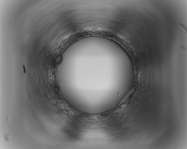 X0000099960966200806131506