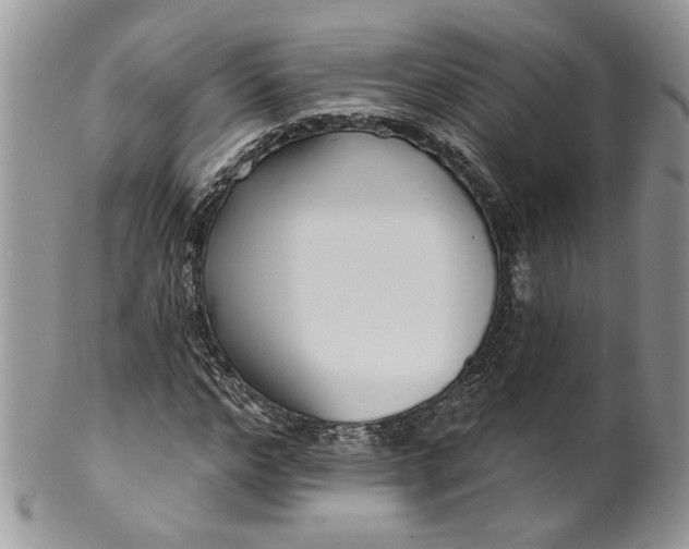 X0000099960968200806131506