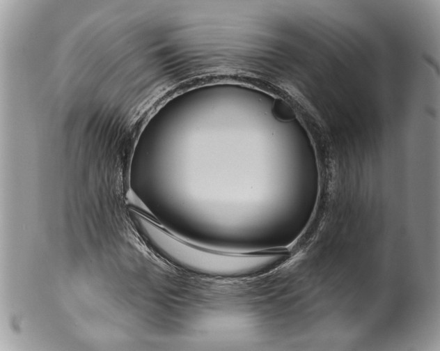 X0000099960969200806131506