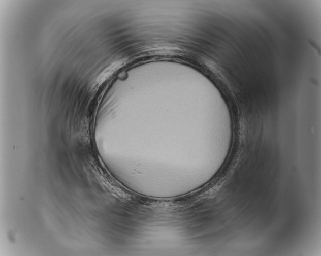 X0000099960970200806131506