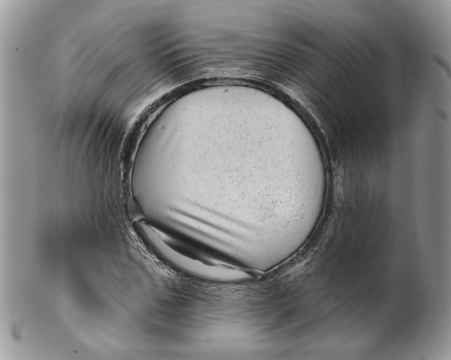 X0000099960971200806131506