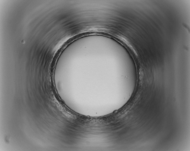 X0000099960972200806131506