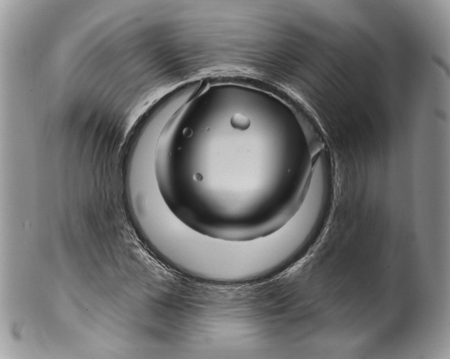 X0000099960973200806131506