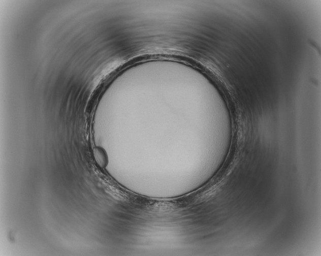 X0000099960974200806131506