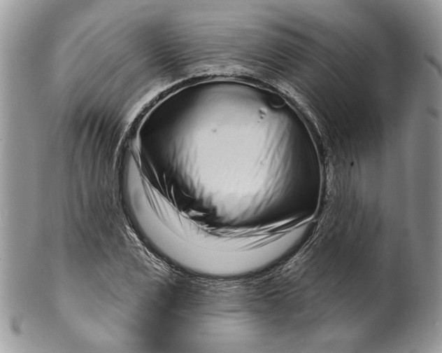 X0000099960975200806131506