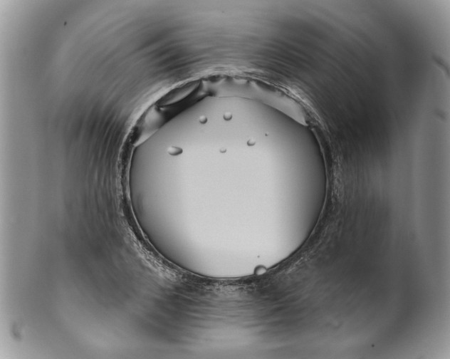 X0000099960976200806131506