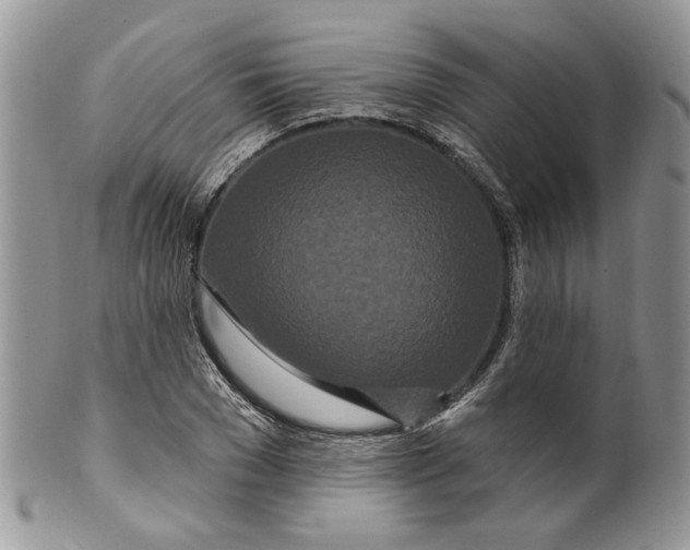 X0000099960977200806131506