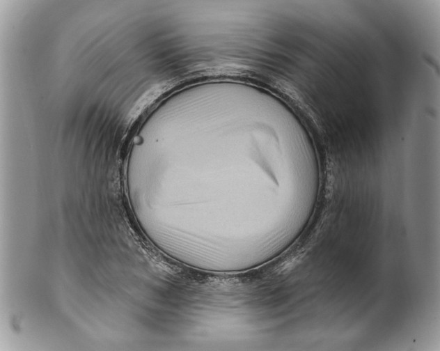 X0000099960978200806131506