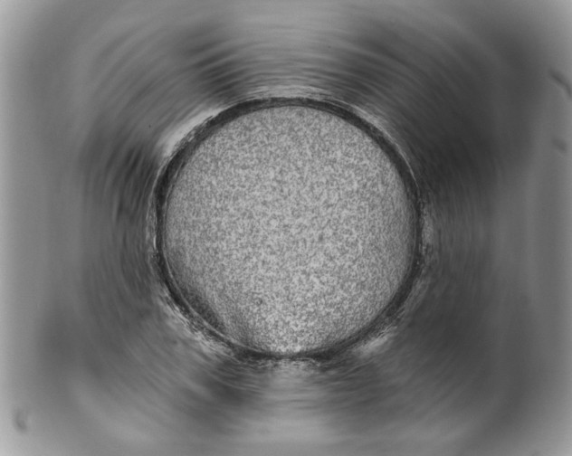 X0000099960979200806131506