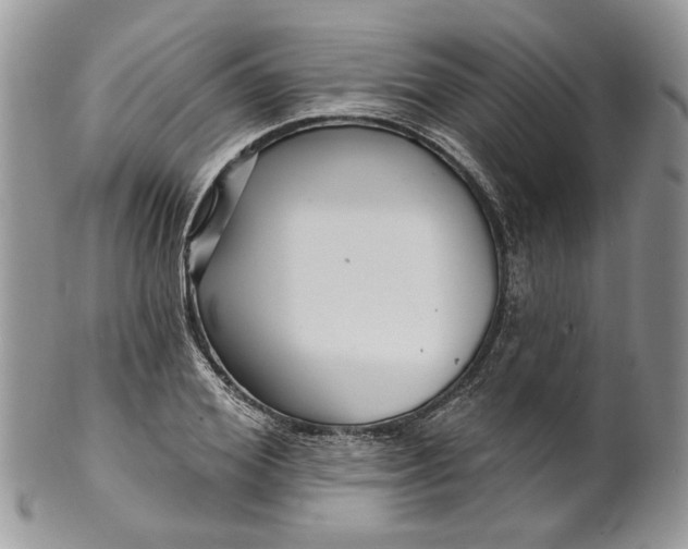 X0000099960980200806131506