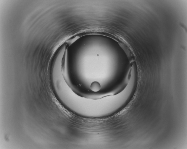 X0000099960981200806131506