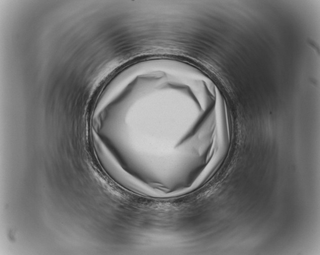 X0000099960982200806131506