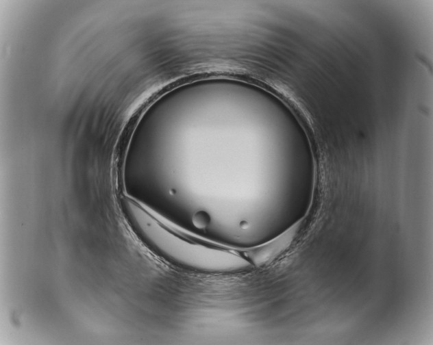 X0000099960983200806131506