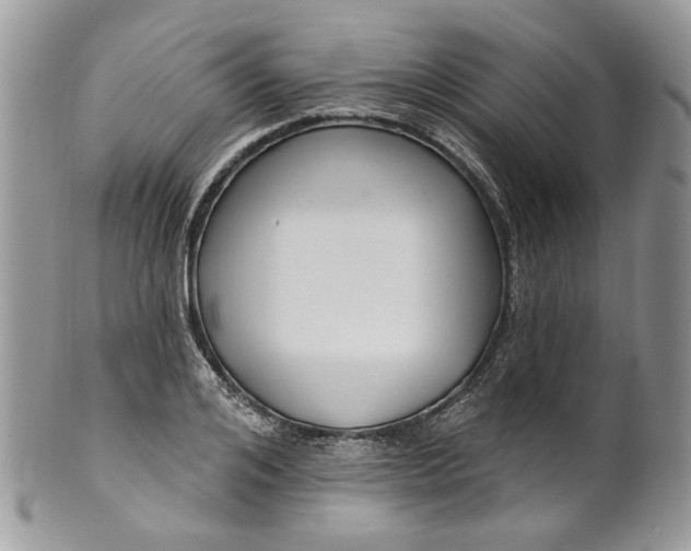 X0000099960984200806131506