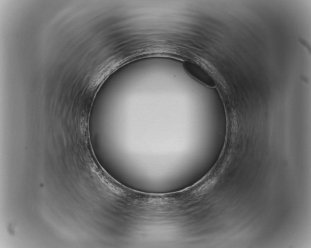 X0000099960985200806131506