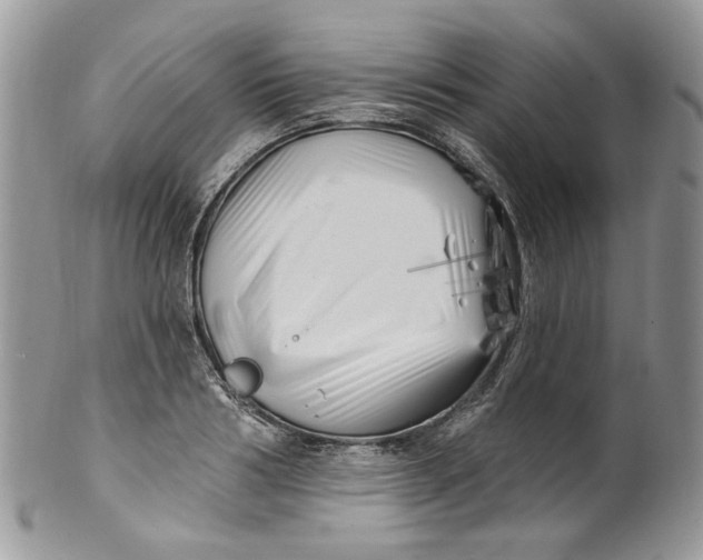 X0000099960986200806131506