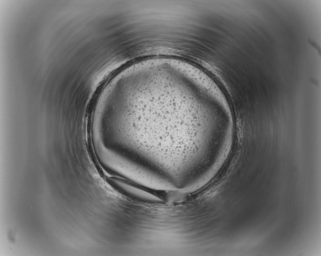 X0000099960987200806131506