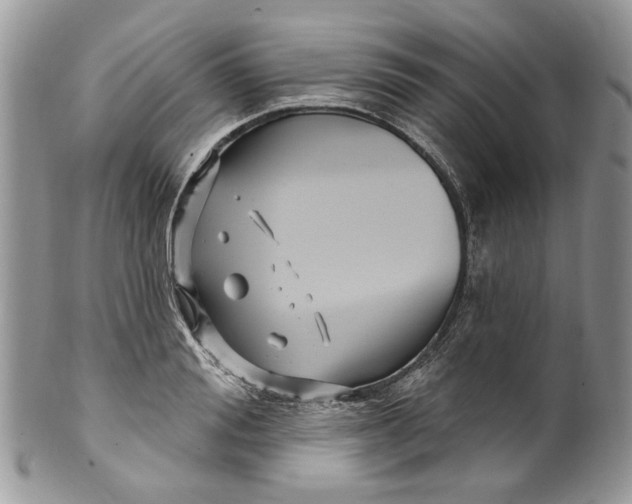 X0000099960988200806131506