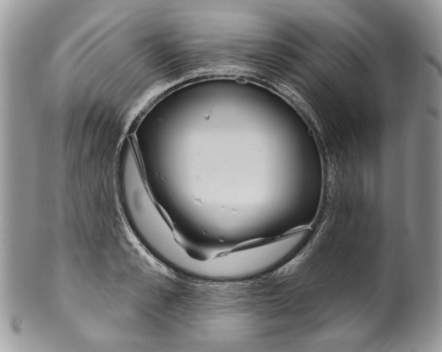 X0000099960989200806131506