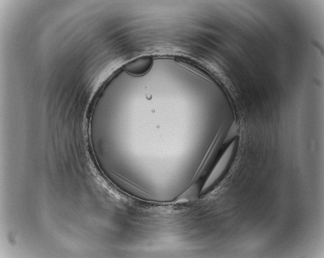 X0000099960990200806131506