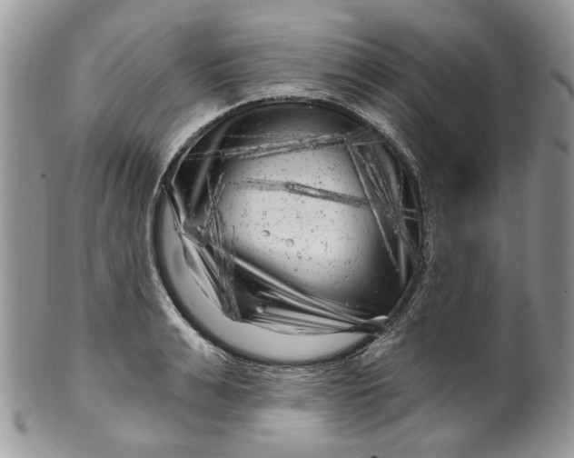 X0000099960991200806131506