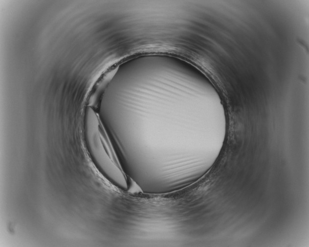 X0000099960992200806131506