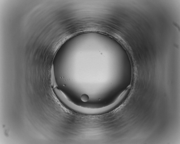 X0000099960993200806131506