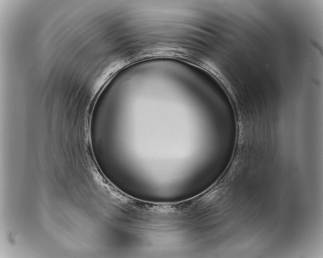 X0000099960994200806131506