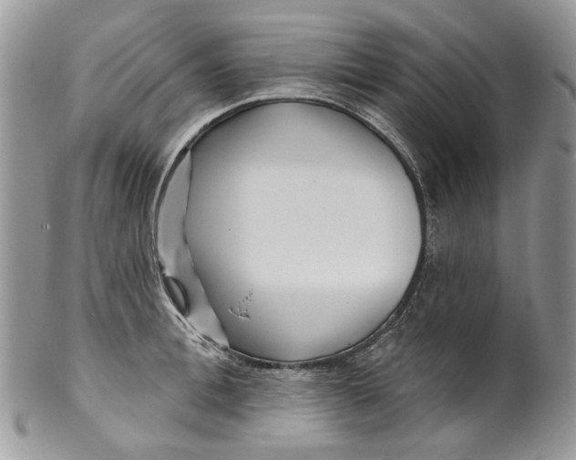 X0000099960996200806131506