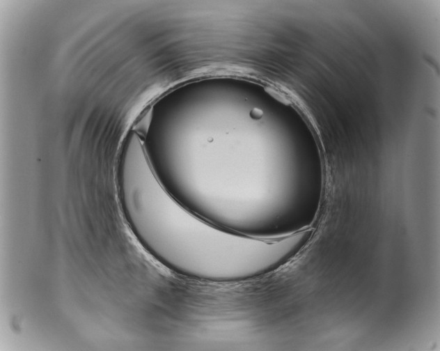 X0000099960997200806131506