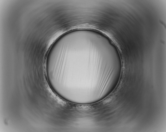 X0000099960998200806131506