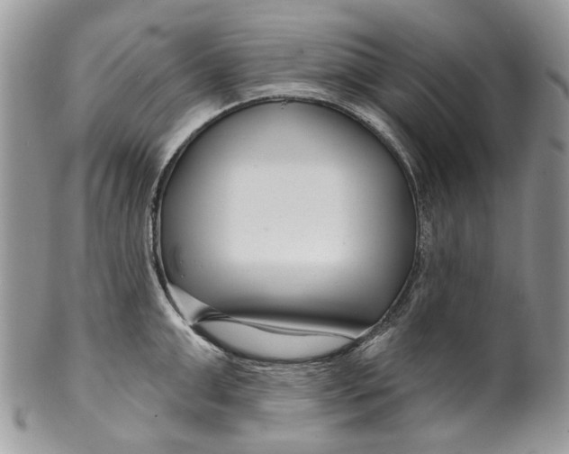 X0000099960999200806131506