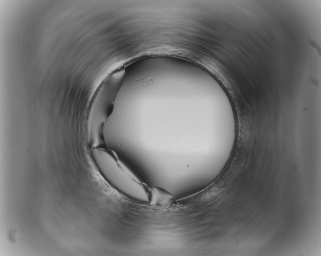 X0000099961000200806131506