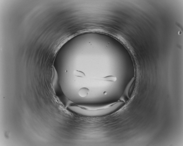 X0000099961001200806131506