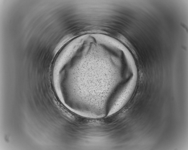 X0000099961002200806131506