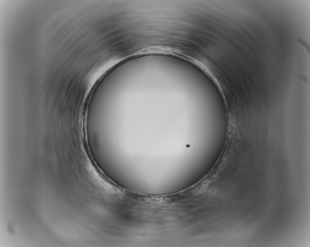 X0000099961003200806131506