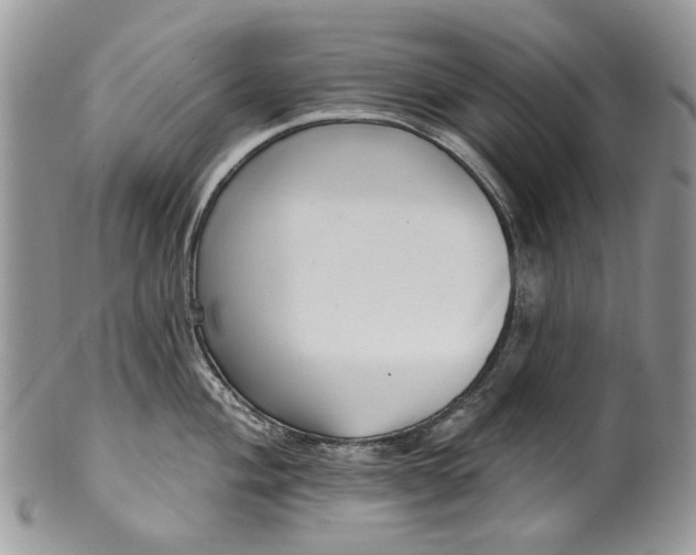 X0000099961004200806131506