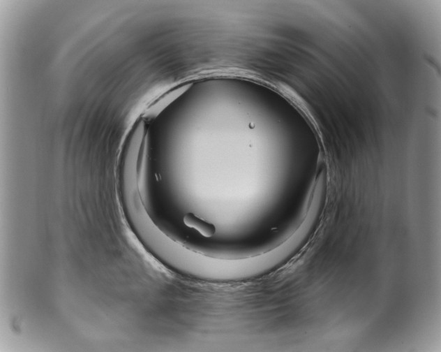 X0000099961005200806131506