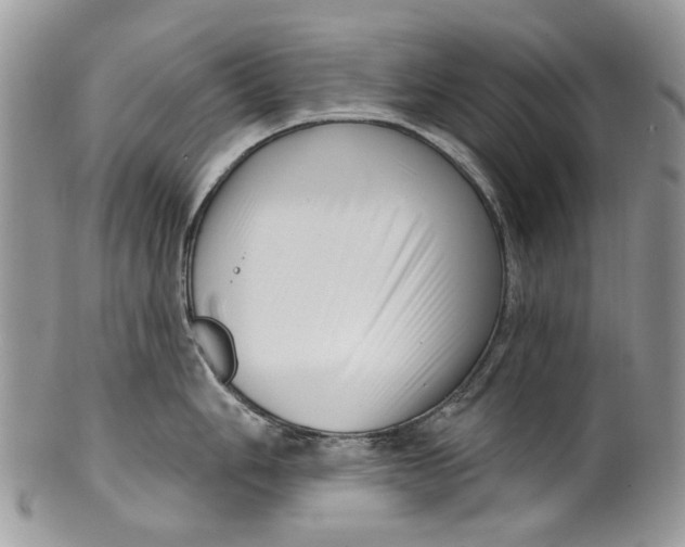 X0000099961006200806131506